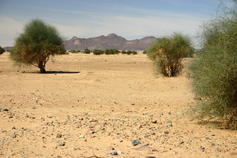 Récit d’un voyage en Afrique à bord d’une 2CV 2006 151_ma11