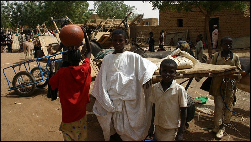 2010 Le pays Dogon en Acadiane 4x4   Douenz14