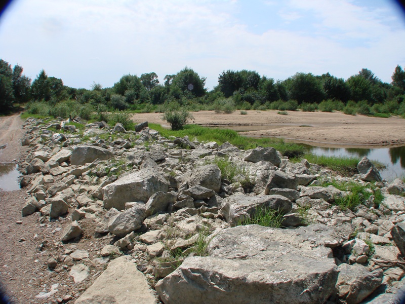 [49 - Maine et Loire] Spot de Montjean sur Loire "été" 0310