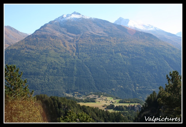 Les Alpes, la Savoie, chez nous... Photo du 20 mai 2010 - Page 3 410