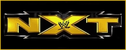 NXT (19/06/13) Nxt11