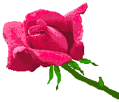 *·~-.¸¸,.-~*أجمل معاني الحزن*·~-.¸¸,.-~* Z3511
