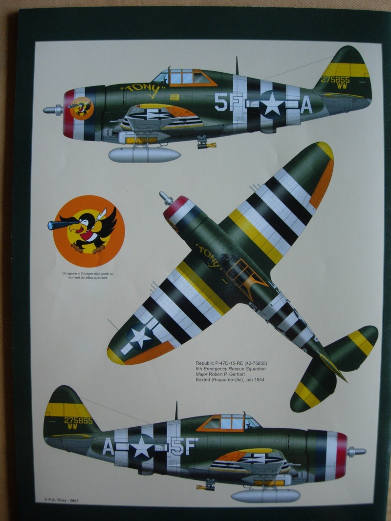 [Hasegawa] 1/48 - Republic P-47D Thunderbolt (Razorback) 'rescue Squadron' - Page 4 Dscn4510