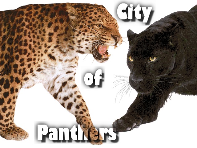 City Of Panthers