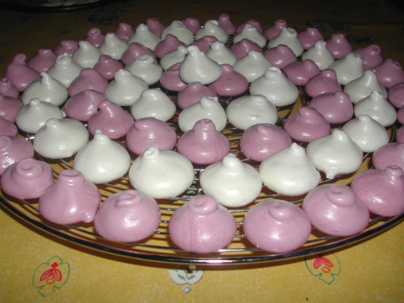 Meringues Gateau78