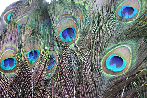 © Les berges saint-amandoises du canal en fête Feteca13