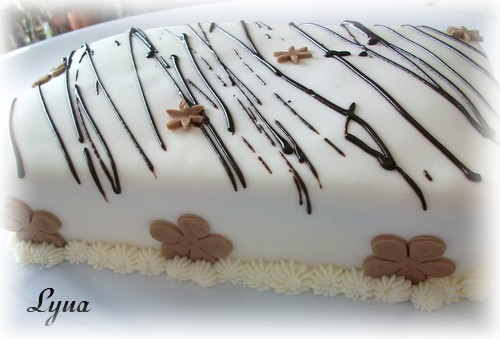 Fondant à la guimauve ou pâte à sucre pour recouvrir ou décorer des gâteaux Gateau14