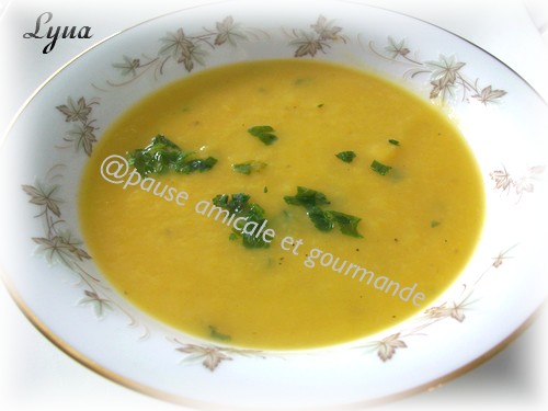 Potage poireaux et courge Potage13