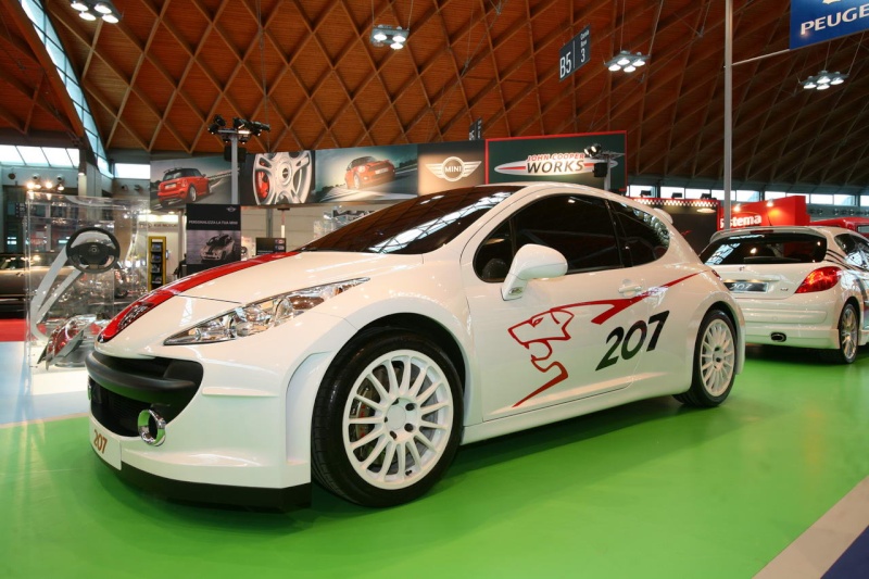 [Peugeot] 207 RC le mans? - Page 3 Rclm10