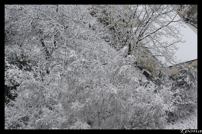 le temps du jour! Neige510