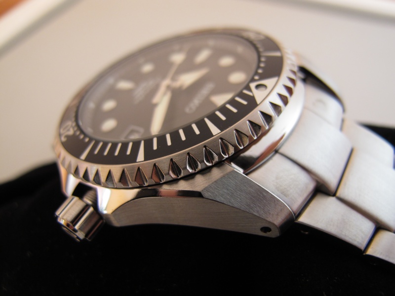 recherche une montre type submariner < 900 € d 'occasion Img_7223