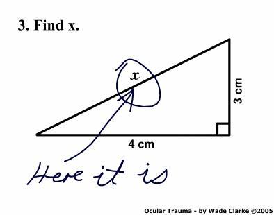 la matematica  un opinione? strafalcioni degli studenti in matematica... Untitl13