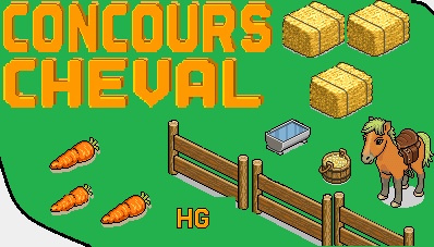 Concours cheval !  Hg_pon11