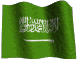    Saudio10