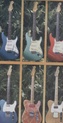 Steven Seagal Guitar Collection Ss411