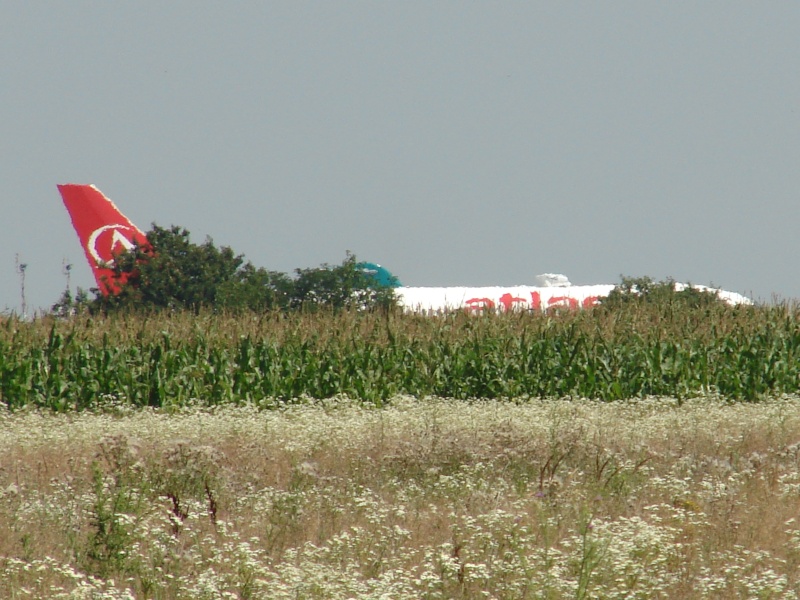 Aeroportul Timisoara (Traian Vuia) - 2008 Pictur94