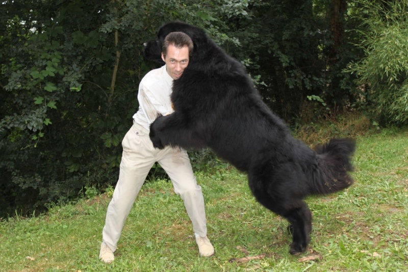 Drako mon nours Drakoa11