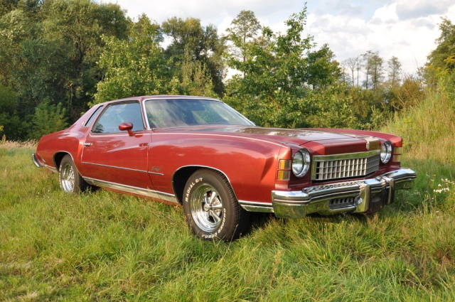 1974 Monte Carlo Landau Sport Coupe 454 Sky Roof - Page 2 Dsc24310