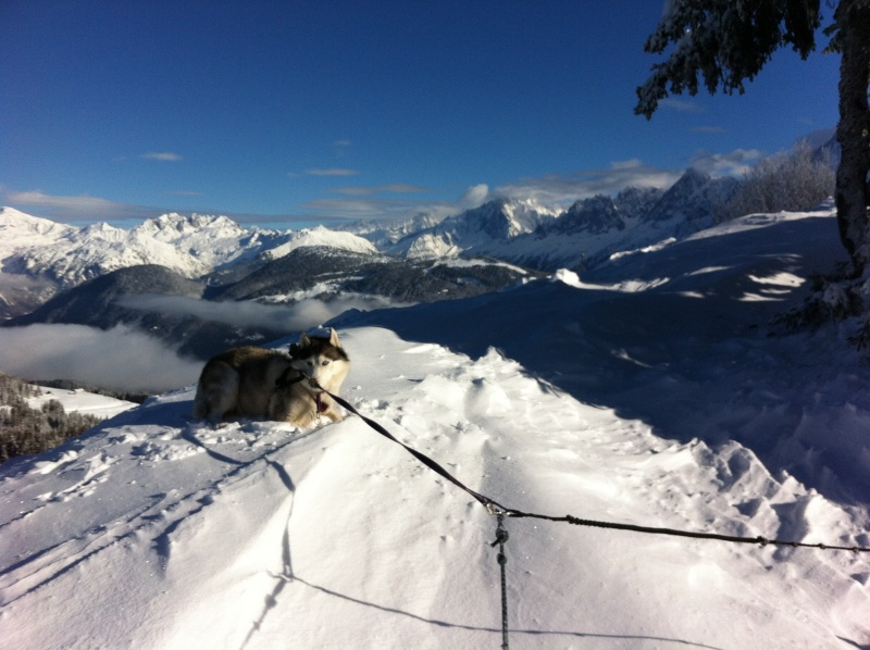 TOM ET PAM..... Megève Janvier 2012..... Img_0412