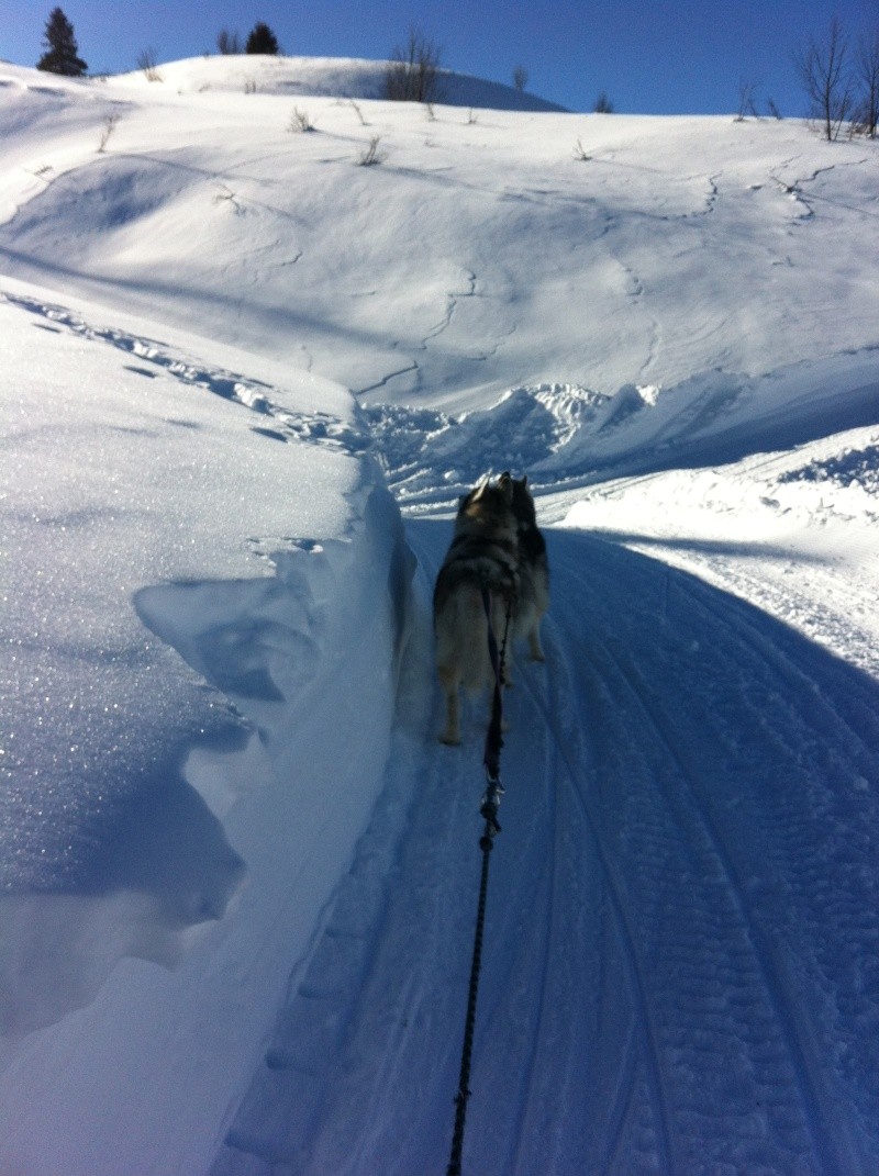 TOM ET PAM..... Megève Janvier 2012..... Img_0619