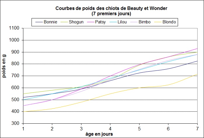 1ère Portée de Ludsyga : Beauty x Wonder (28/01/06) - pour moi Courbe10