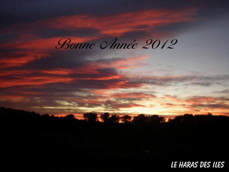 BONNE ANNEE 2012 Annae_11