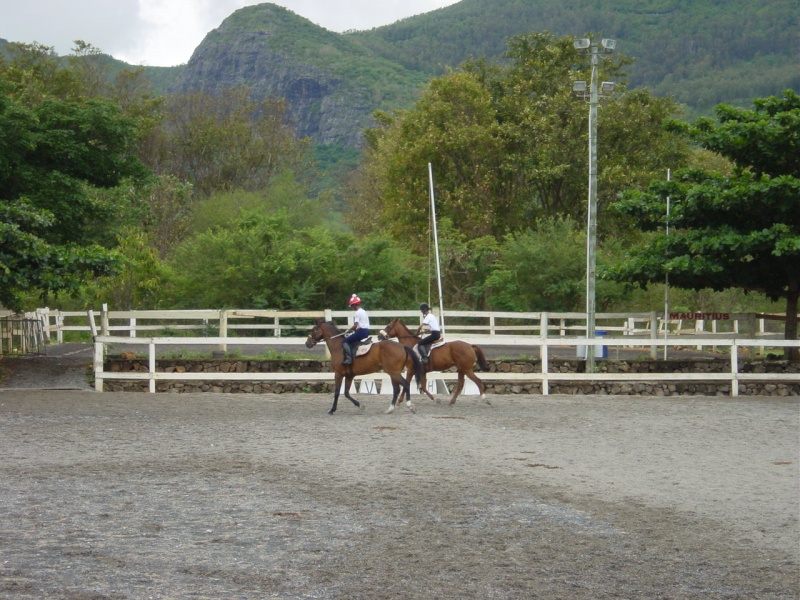 Balade à cheval à la Réunion ou à Maurice Dsc06118