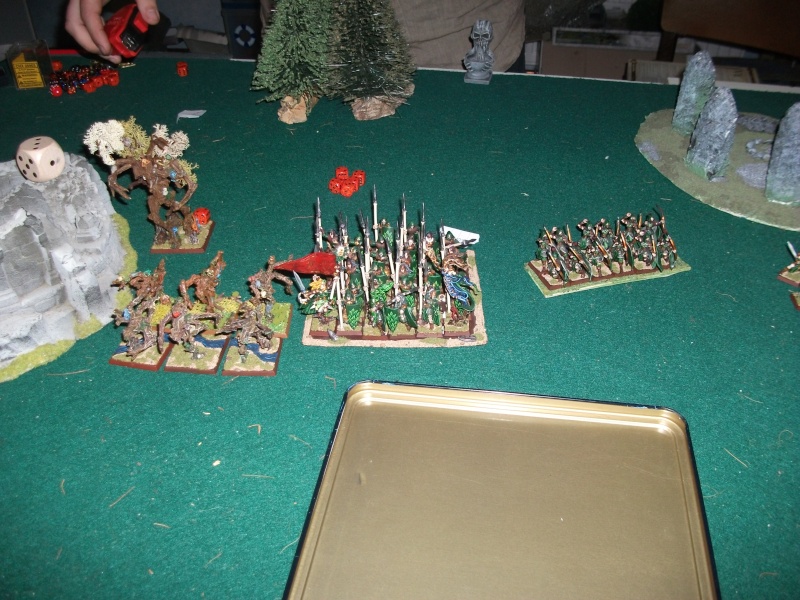 [battle-3000ts] elfes sylvains contre HB Dscf2730