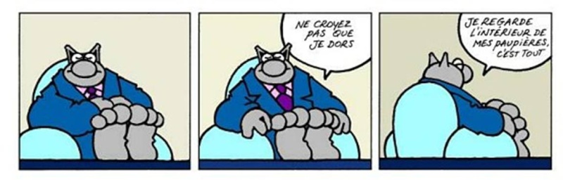 Philippe GELLUCK (auteur du "Chat") Lechat12