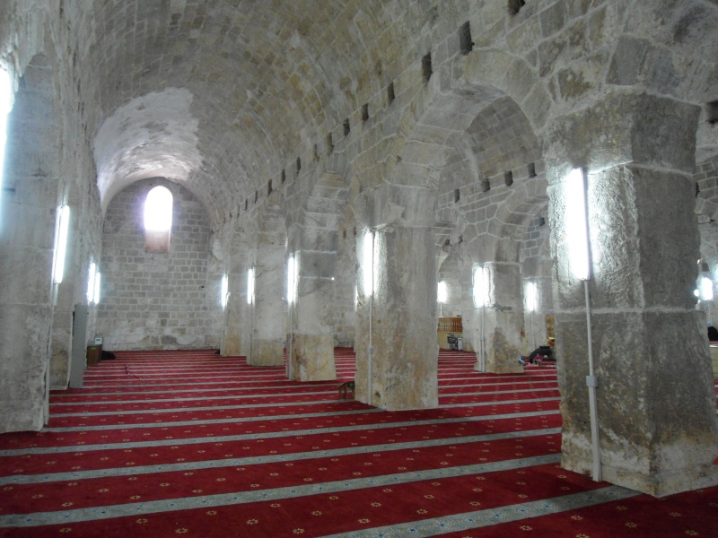صور من زيارتي للمسجد الاقصى(المصلى المرواني) Ouuoo346
