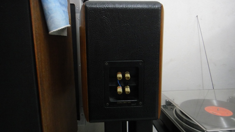 Sonus faber concertino speaker (Used)SOLD Dsc01263