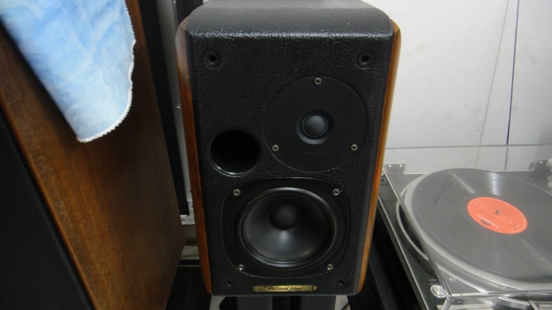 Sonus faber concertino speaker (Used)SOLD Dsc01265