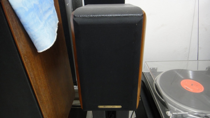 Sonus faber concertino speaker (Used)SOLD Dsc01266