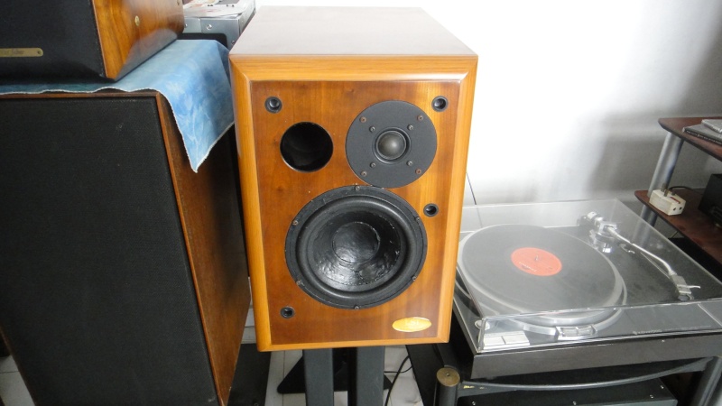 LST basik montor speaker (Used)SOLD Dsc01312