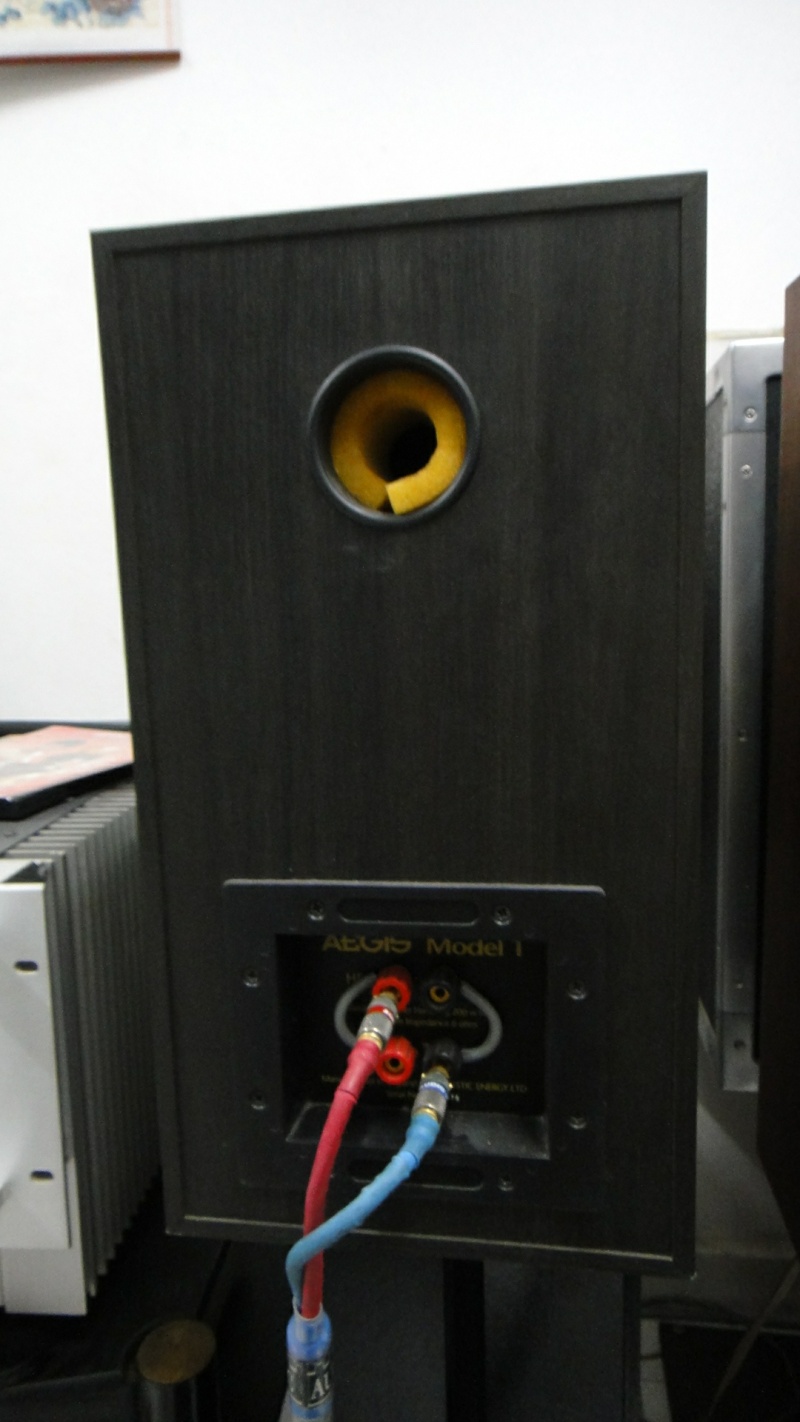Acoustic energy AEGIS model 1 speaker (Used)SOLD Dsc01619