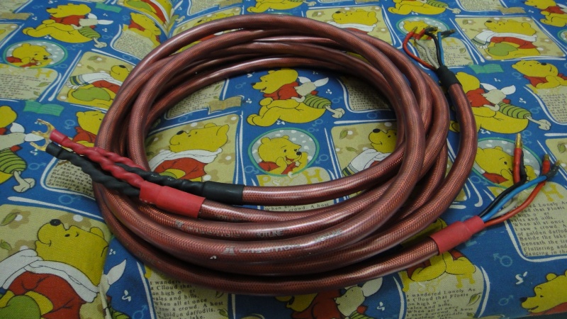 Ensemble Hotline speaker cable (Used)SOLD Dsc01641