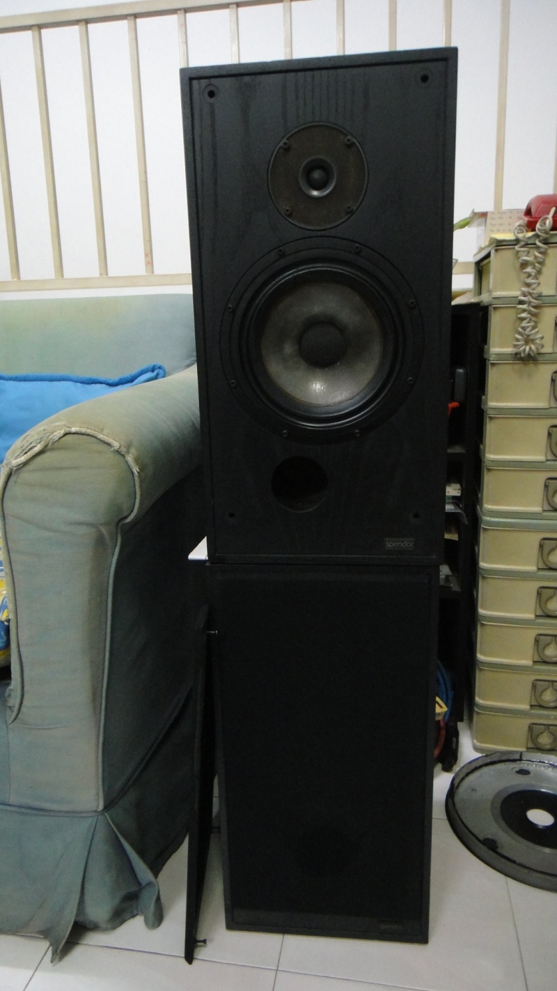 Spendol SP 2/2 speaker (Used)SOLD Dsc01926