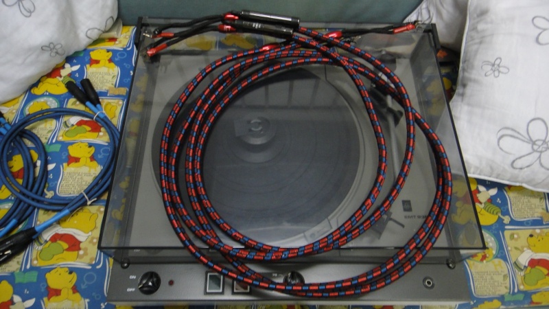 Audioquest CV 6 24V DBS speaker cable (Used)SOLD Dsc02011