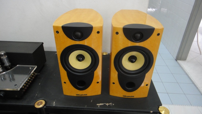 Wharfedale PACIFIC EVO-8 speaker (Used)SOLD Dsc02147