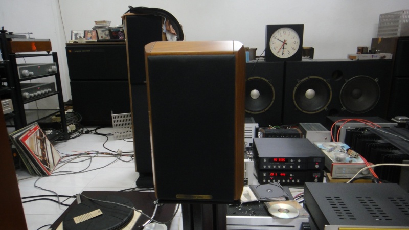 Sonus faber minima Fm2 speaker (Used)SOLD Dsc02348