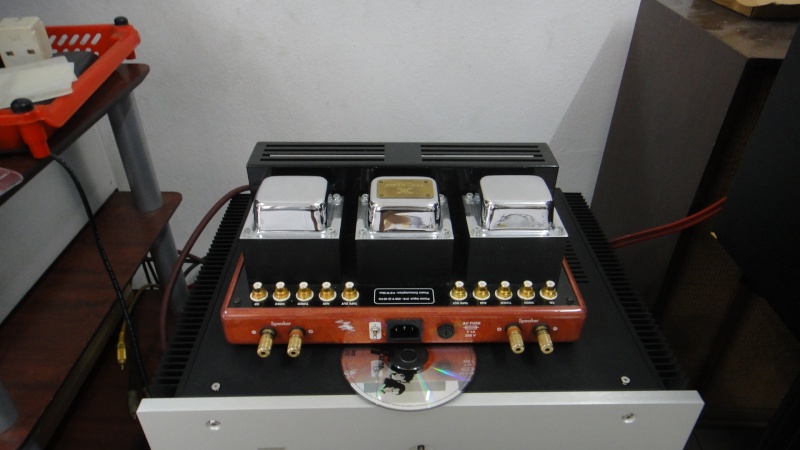 Synthesis Nimis tube integrated amplifier (Used)SOLD Dsc03023