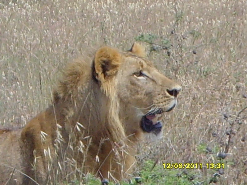 Nairobi National Park Snv35913