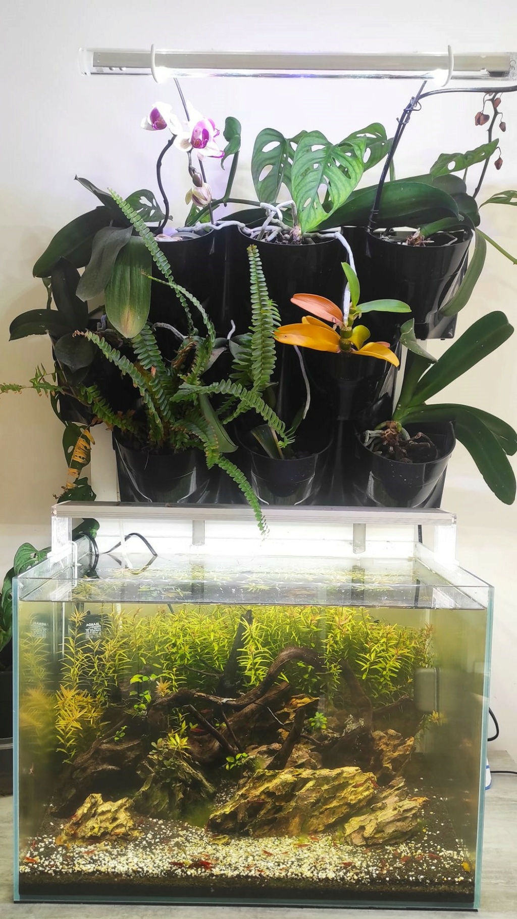 Feloya : 60 litres 60_l_210