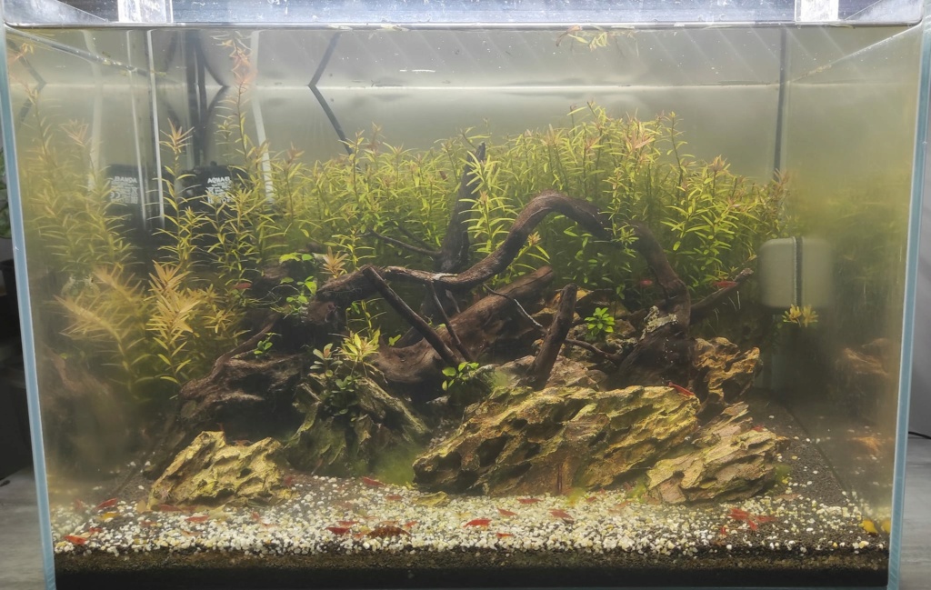 Feloya : 60 litres 60l_110