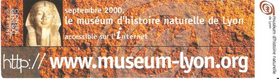 Museum d'histoire naturelle de Lyon 003_5410