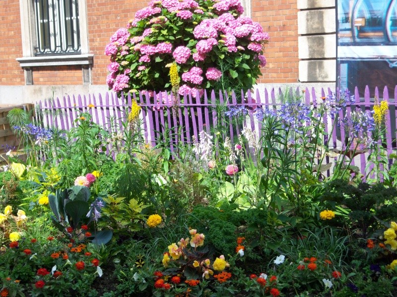 jardin éphémère de Boulogne sur mer (62 Pas de Calais) 01111