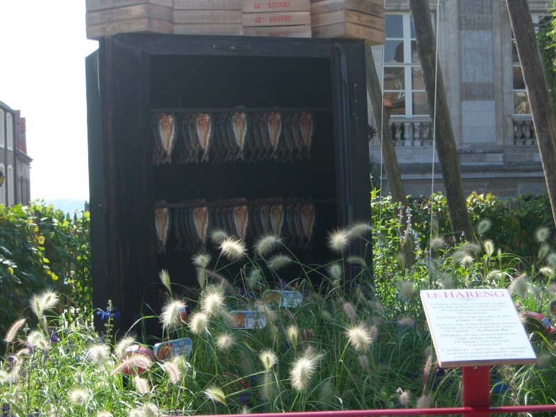 jardin éphémère de Boulogne sur mer (62 Pas de Calais) Jardin18