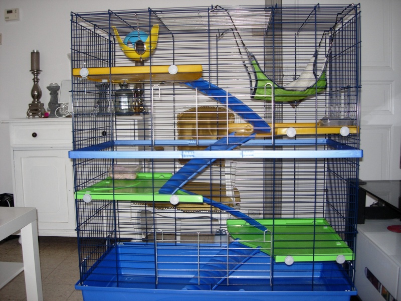 ma nouvelle cage :p  Dscn4615
