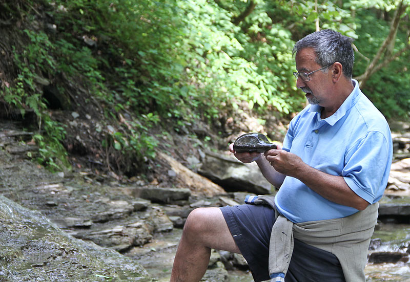 UPSTATE NEW YORK SUISEKI COLLECTING TRIP 12_wnv10