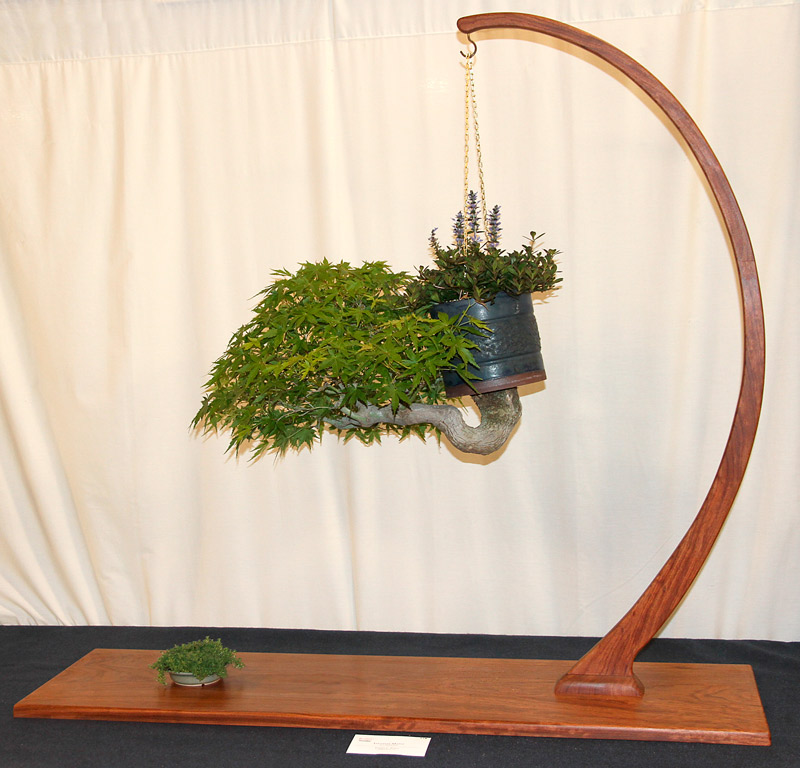 OFFICIAL 3RD US NATIONAL BONSAI EXHIBITION RESULTS Finest17